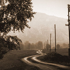 photo "The road"