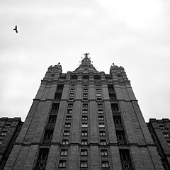 photo "Two Birds: Imperial Eagle and Free Crow"