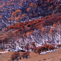 photo "autumn scenery"