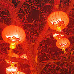 photo "Copenhagen in chinese sauce or Tivoli with Lilia-2"