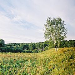 фото "Август"