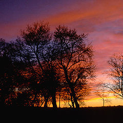 фото "Late Autumn Sunset"