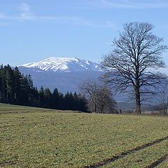photo "Schneeberg"