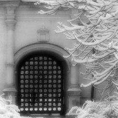 photo "Door in winter dream"