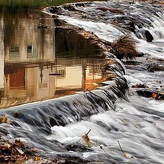 photo "Between Calm and Rush"