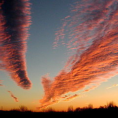 photo "A "Set" of Funnels...."