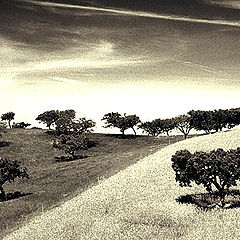 photo "Alentejo"