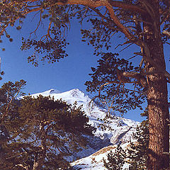 photo "Elbrus"