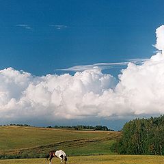 фото "Лето"