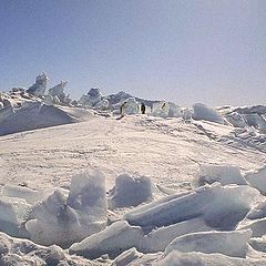 photo "Antarctica, January,very heat!"