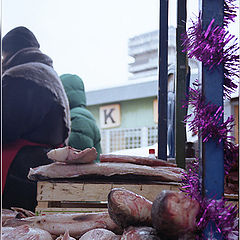 photo "Fish market"