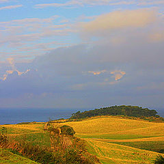 photo "Yellow fields"