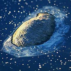 photo "STONE SURROUNDED BY ICE"