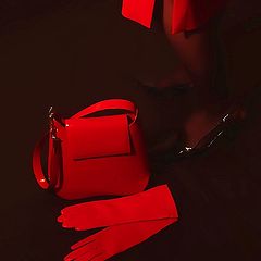 photo "Shoes, handbag and gloves"
