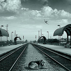 photo "BURBANK AIRPORT"