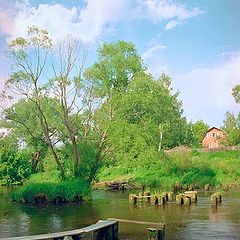 photo "July evening beside water"