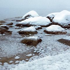 photo "Baltic sea"