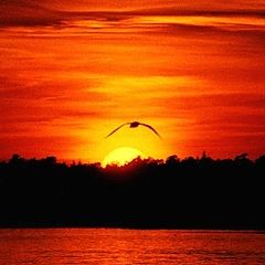 photo "Perfect Ending"
