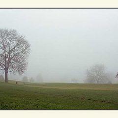 photo "Foggy morning"