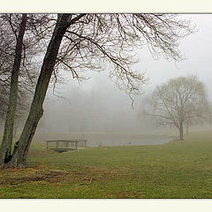 photo "Foggy morning  (Part 2)"