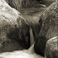 фото "Water #4 - The path"