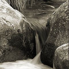 photo "Water #4 - The path"