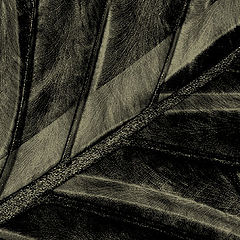 фото "Abstract shades"