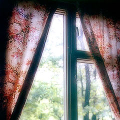 photo "Window"