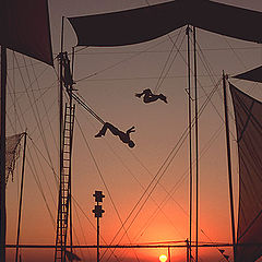 фото "Le cirque du soleil"