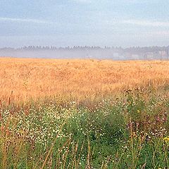 photo "Morning silence"