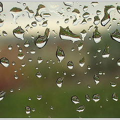 photo "After rain"