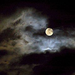 фото "Full Moon"