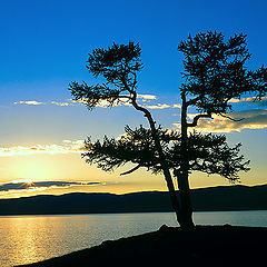 photo "Baikal 2"