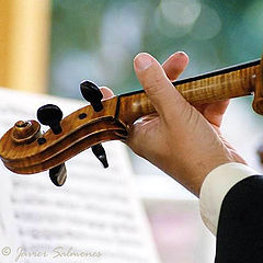 photo ""Stradivarius""