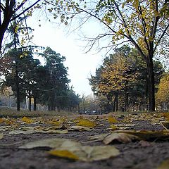 photo "Park Walking (Fall 2001)"