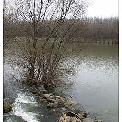 фото "Danube. Spring."