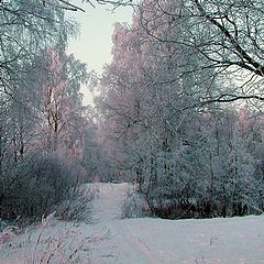 фото "Зимний вечер"