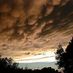 photo "The Storm Approaches"