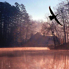 photo "Early Morning Arrival"