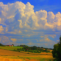 photo "Cornfields"