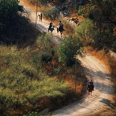 фото "Конная прогулка/Horse walk"