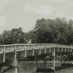 фото "The bridge"