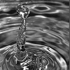 photo "The drop"