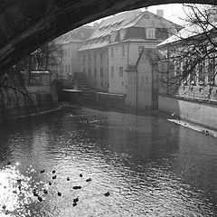 photo "Court of Prague"