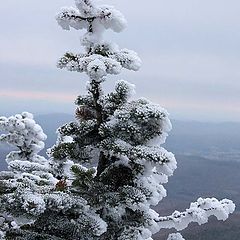 фото "Some Vermont Morning."