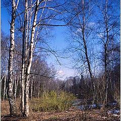 фото "Пробуждение."