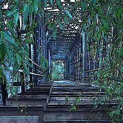 фото "Trestle and PSP"