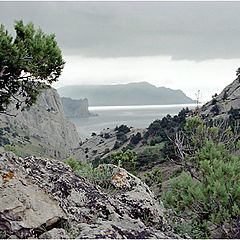 photo "Spring in Crimea"