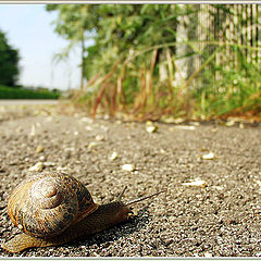 photo "Helix - Way to home"