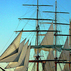photo "Sails"